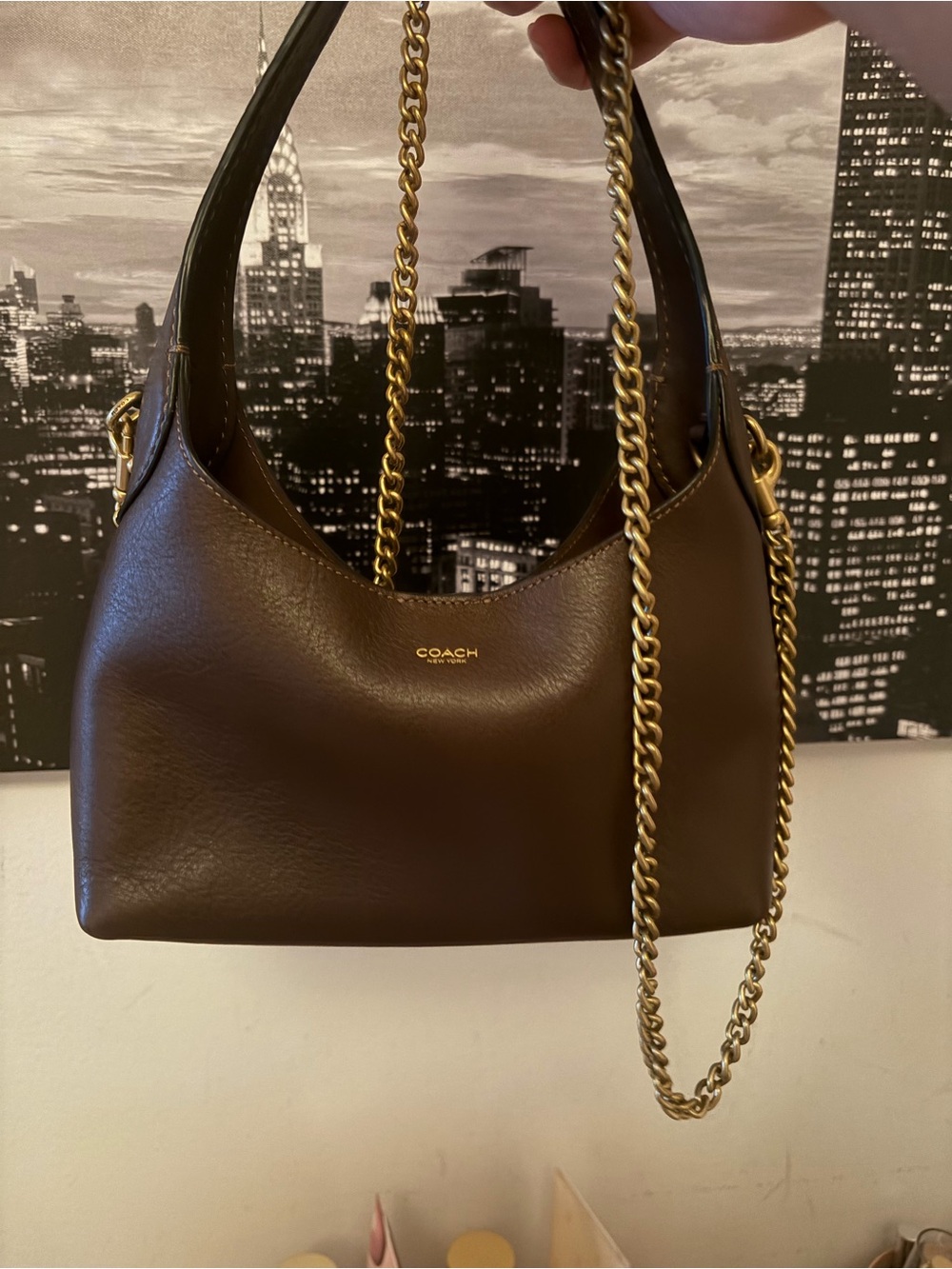 Coach Brooklyn 23 Maple Bag